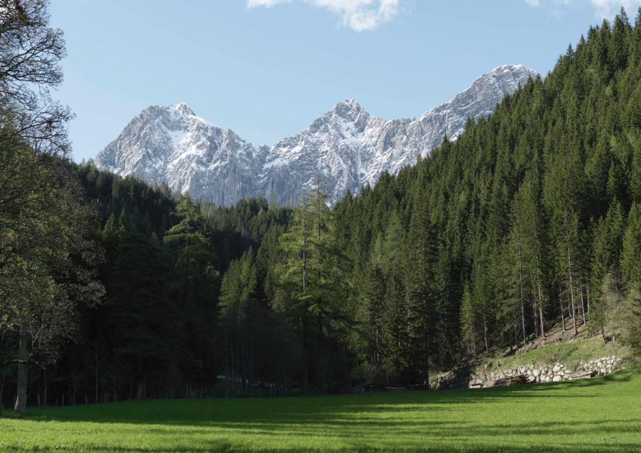 Alpenrose Boutique Chalet Gretl Ramsau am Dachstein Ngoại thất bức ảnh