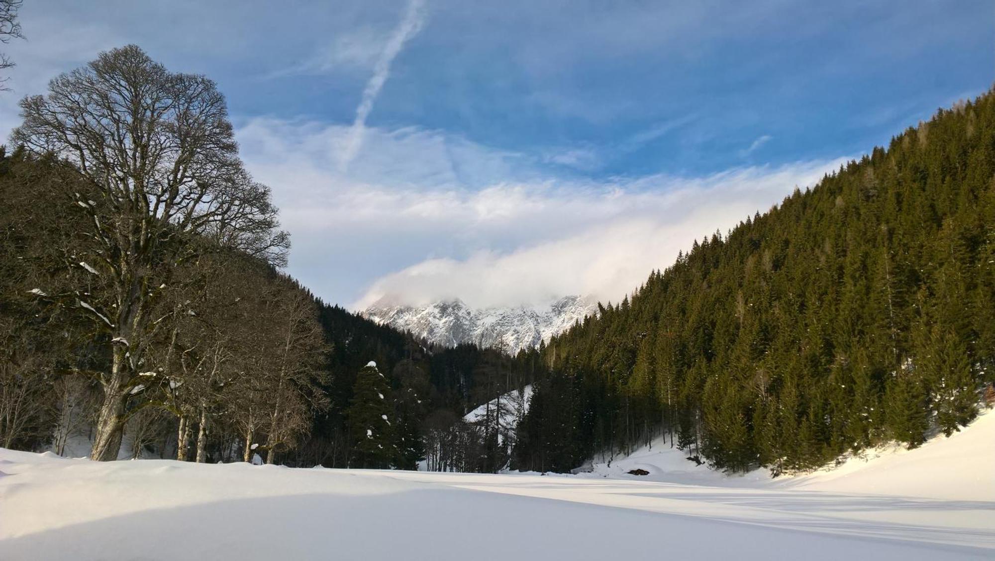 Alpenrose Boutique Chalet Gretl Ramsau am Dachstein Ngoại thất bức ảnh