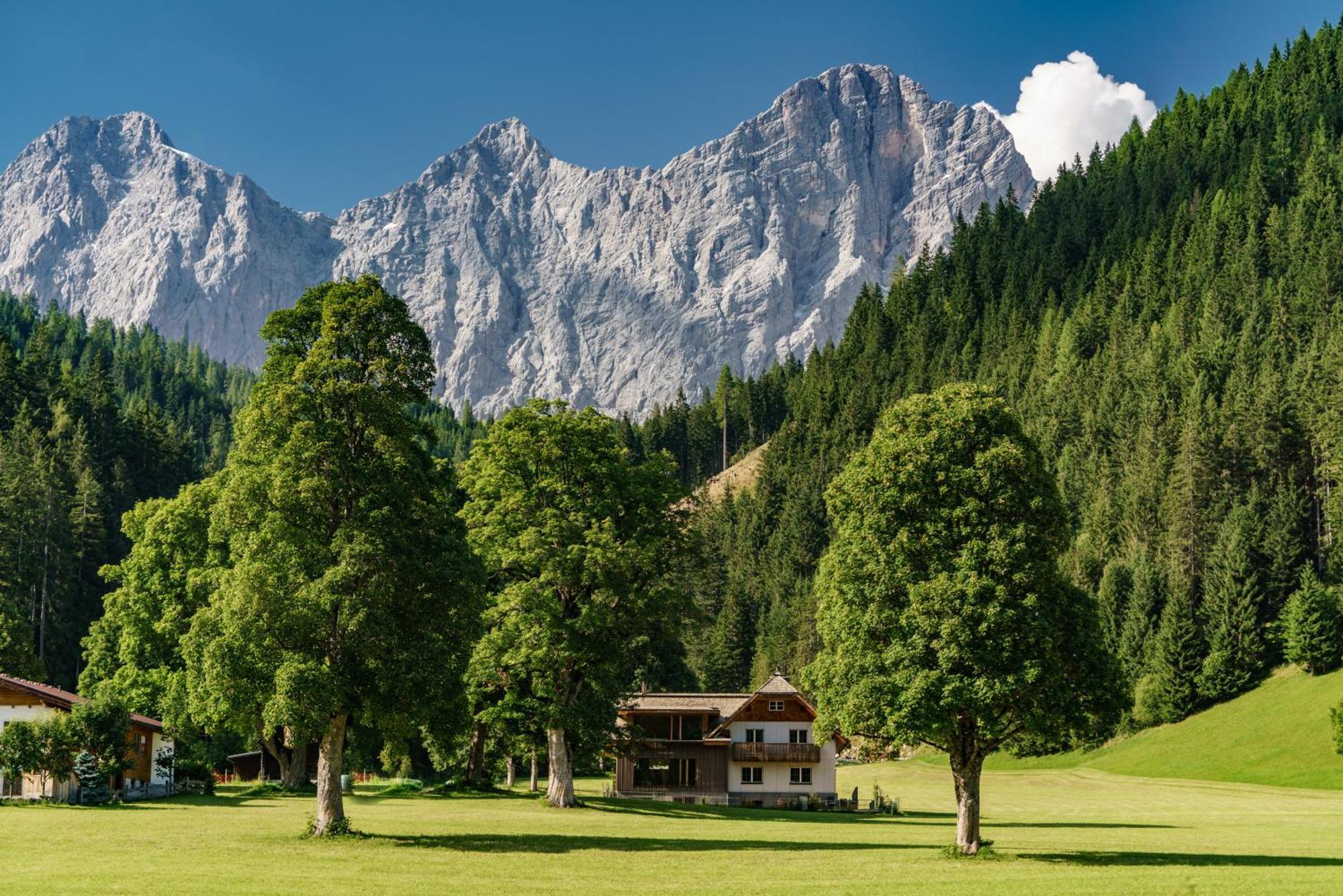 Alpenrose Boutique Chalet Gretl Ramsau am Dachstein Ngoại thất bức ảnh